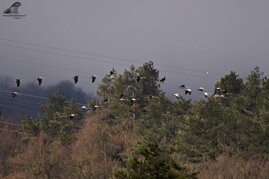 9bf68419-682e-4e3b-a898-c28bdd081ed6