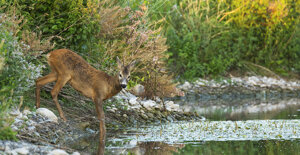 f736a298-7ea5-458d-97a4-fb7632df0629