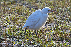 6958e97f-926b-4f59-99f4-bf45f72842f5