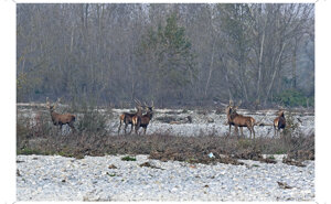 Ambiente Scrivia 2024