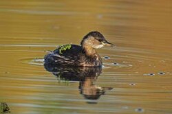 ee2e7d75-131f-4e4e-9e1a-c15a07956752