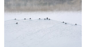 Ambiente Scrivia 2024