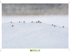 Ambiente Scrivia 2024