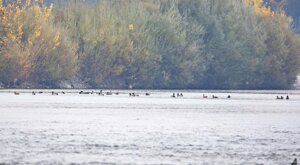 Ambiente scrivia 2021