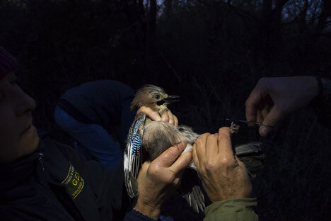 89e12abc-8c7f-4eaf-8f18-31490a9e56ad 89e12abc-8c7f-4eaf-8f18-31490a9e56ad