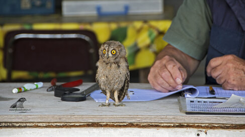 84aa1d46-0d4c-443a-aa6c-08cc6de8e1b5