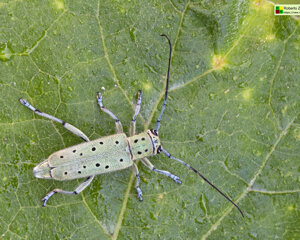 Ambiente Scrivia 2022