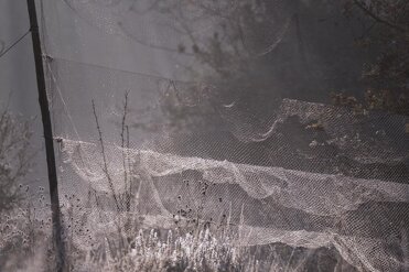 4519b219-92b0-41b2-a87b-049e6efbe166 4519b219-92b0-41b2-a87b-049e6efbe166