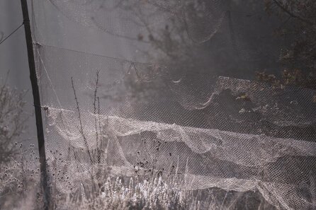 4519b219-92b0-41b2-a87b-049e6efbe166