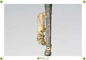 0cc58d98-e516-45cf-b836-1f65da5604aa