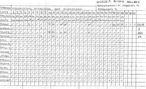 e057d98a-8f20-4bfa-bb15-c7b40340a805