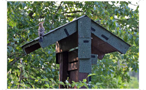 Ambiente scrivia 2025