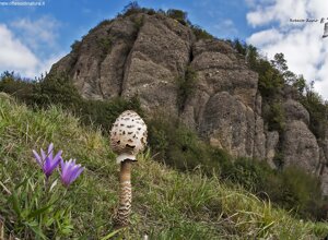 Busalla (GE) Liguria