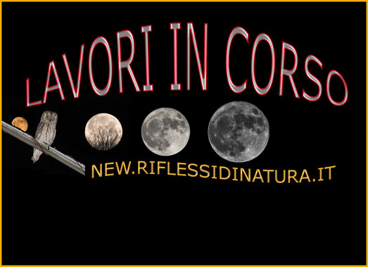 lavori in corso.jpeg