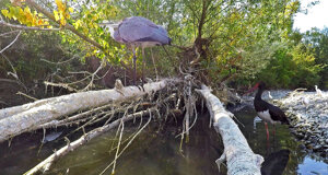 Ambiente Scrivia 2022 : fermo immagine di un video