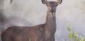 Ambiente Scrivia 2020