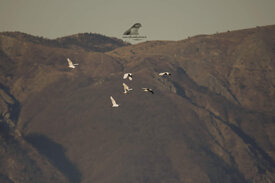 bef98b22-99a2-48f8-8335-69b7dc90a11c