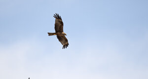 Ambiente Scrivia 2022