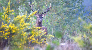 Ambiente Scrivia 2023