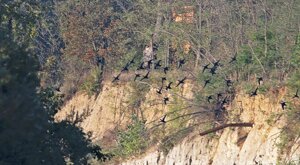 Ambiente Scrivia 2023