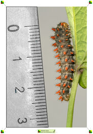 054d7894-dc68-4788-b21e-6863f16dd4eb