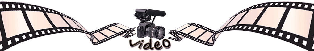 3f0ec437-f08a-4791-9369-93c113261b20