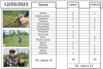 93f63344-ed2b-4875-b26d-1c146d71eaf8