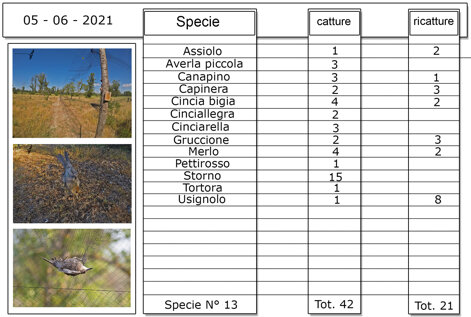 623369c8-8253-447a-9390-7d6e88c80de8