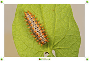 09337246-b527-4278-90eb-e64d6bdc5233