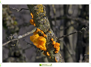 0640c556-2768-4cf5-8964-9096c73cf2e1 0640c556-2768-4cf5-8964-9096c73cf2e1