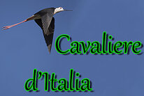 18dabab6-21b9-41e3-8468-9d62008e04f3