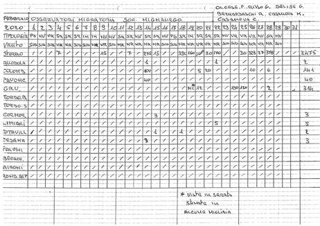 26e17b17-c4d5-4b2f-99fb-d5c2d5617282