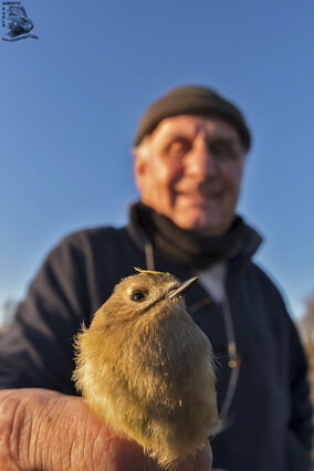 628400cc-5a59-4a4d-85db-934aeb4ecc98 628400cc-5a59-4a4d-85db-934aeb4ecc98