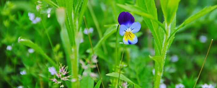 5b4bf635-2752-48f1-b002-ea25d89d5827