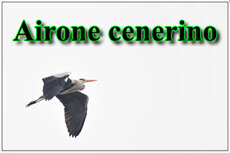 50b93f9b-2ca9-46fd-8aa3-c4a1d57490dc