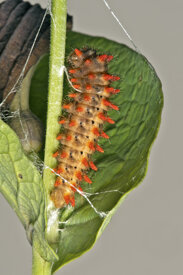 4c6d9ba0-8e88-465c-8b80-5bf1a5b18e27