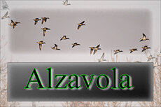 fd98501d-0934-44f9-84fd-7150e454faed