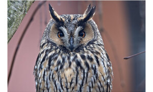 85b634b8-de6e-4884-8ac8-4d789dcd7257