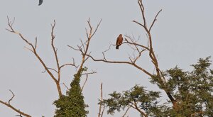 Ambiente Scrivia 2021