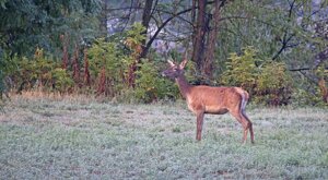 Ambiente Scrivia 2022