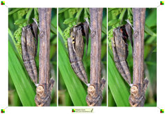 01-tris.jpeg 01-tris.jpeg