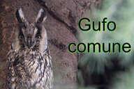 2025a126-872a-4ad5-8490-21a4e82fa742