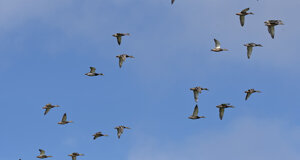 Ambiente Scrivia 2022