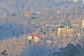 a10cc33b-79a9-4027-9f2b-4d1fa05b2fc8