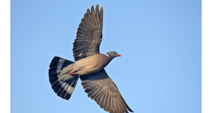 cd66575b-47d5-4bad-8a8a-1eb4ff5bfe86