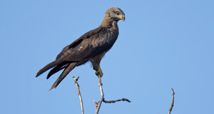 Ambiente Scrivia 2022