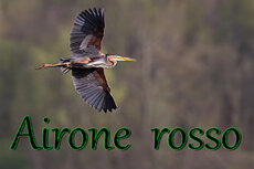 fe3246dc-4635-49e2-a37b-30ccfff33cd4