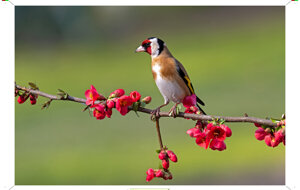 e9222350-6068-4f6d-ab62-ed90ff7eb800