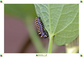 e84796d4-8d32-45dd-ade0-b28faf91b56e