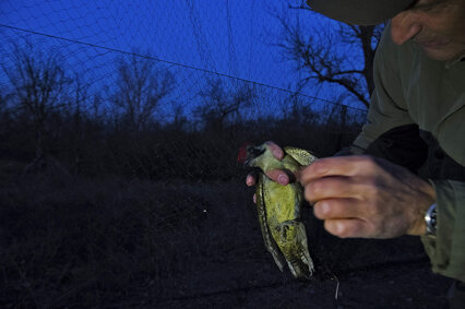 536bd752-32e1-407a-b1e9-3c09679b6299 536bd752-32e1-407a-b1e9-3c09679b6299